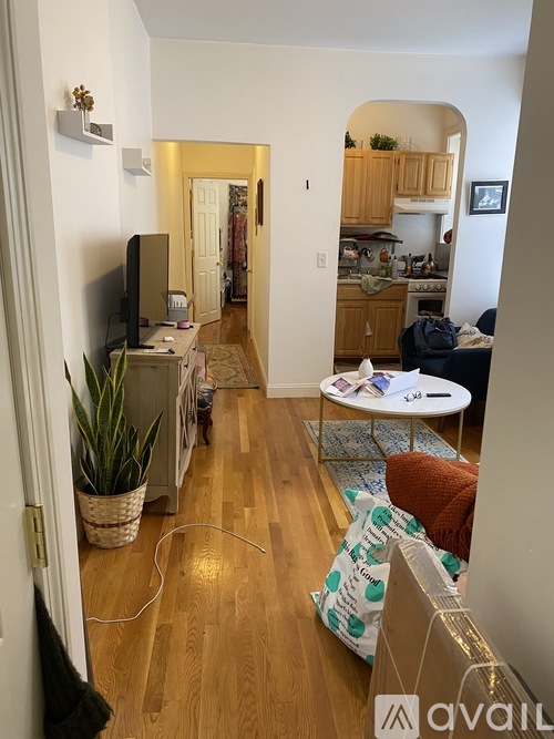 A living room with a couch, a television, and a plant.