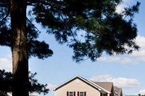 a row of houses in front of a green field