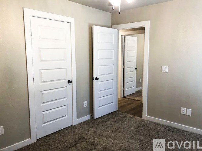 A room with two white doors and a carpeted floor.