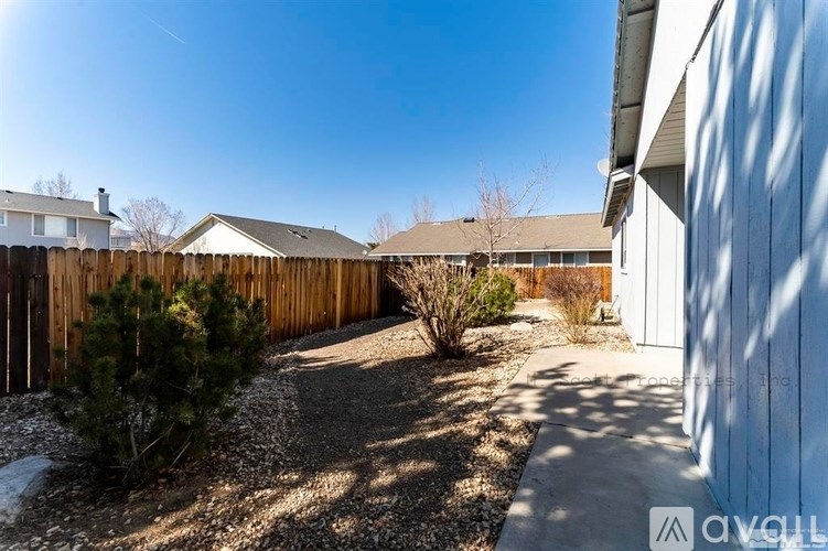 A backyard with a wooden fence and a small tree.