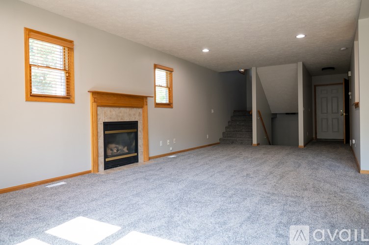 A living room with a fireplace and two windows.