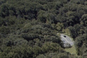 an aerial view of an apartment complex with parking lot and trees