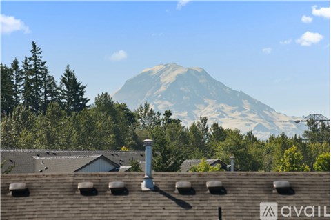 A mountain is in the background of a residential area.