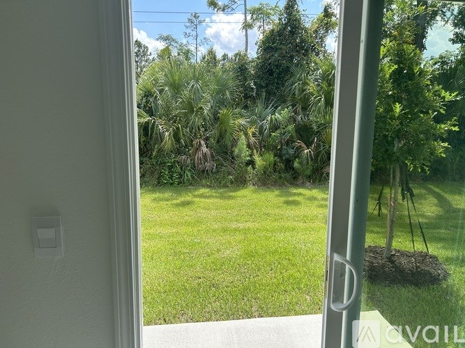 A view of a lush green yard through a glass door.