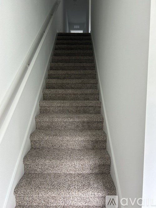 A staircase with a carpeted runner and white risers.