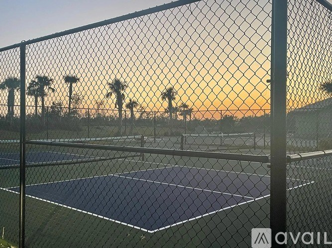 Tennis court surrounded by a fence with palm trees in the background.