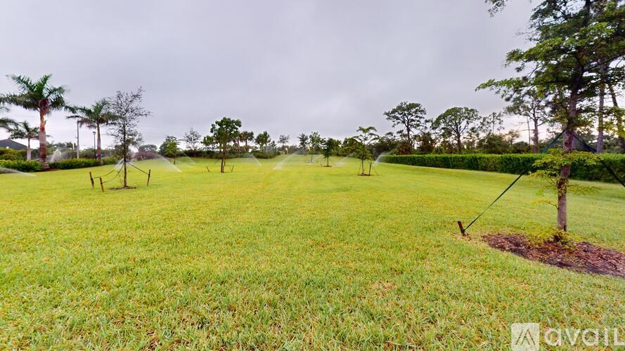 A grassy field with trees and a hedge in the distance.
