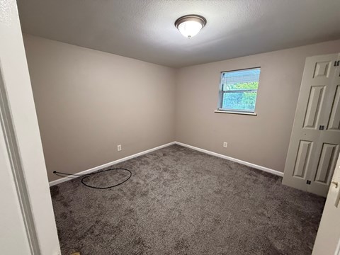 A room with a grey carpet and a window with a view of a green area outside.