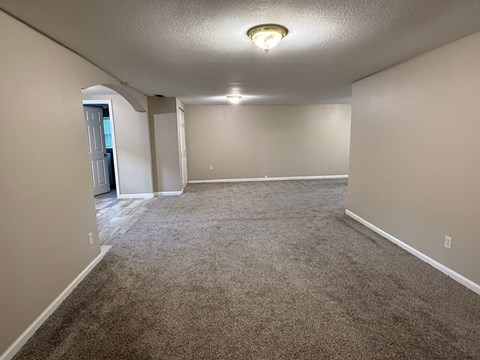 A spacious room with carpeted floor and a ceiling light.
