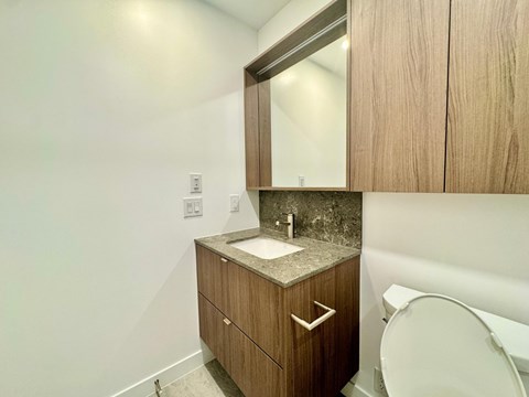 A bathroom with a sink and a toilet.