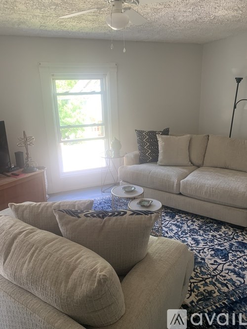 A living room with a white couch, a blue patterned rug, and a window with sunlight coming through.
