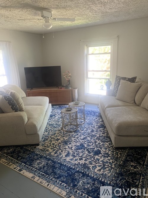 A living room with a television, two couches, and a rug.