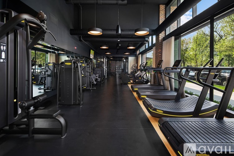 A gym with treadmills and elliptical machines.