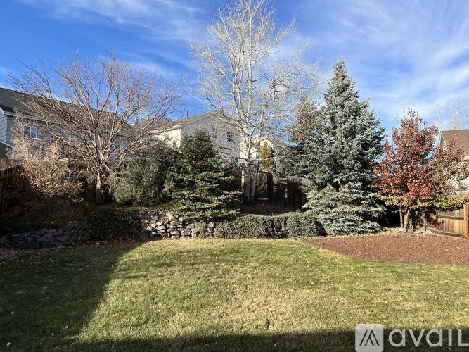 A backyard with a stone wall and a variety of trees.