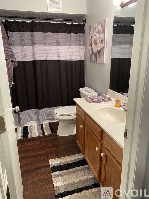 A bathroom with a toilet, sink, and shower curtain.
