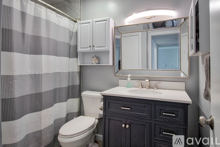 A bathroom with a checkered shower curtain and a white toilet.