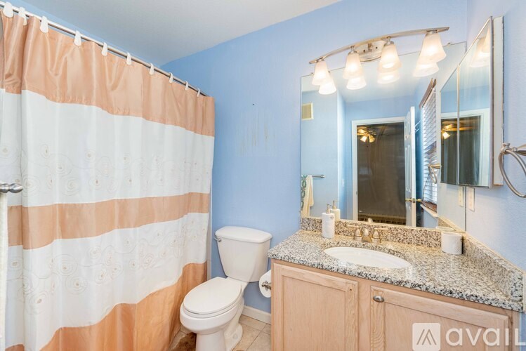 A bathroom with a toilet, sink, and shower curtain.