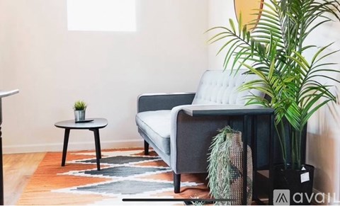 A living room with a grey couch, a small table with a plant, and a rug.