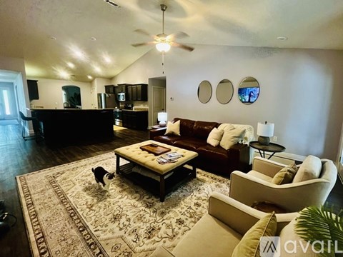 A cat is walking on a rug in a living room.