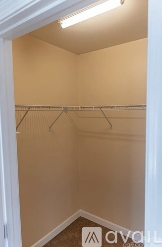 A small, empty closet with a carpeted floor and a white door.