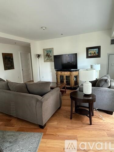 A living room with a grey couch, a coffee table, and a television.