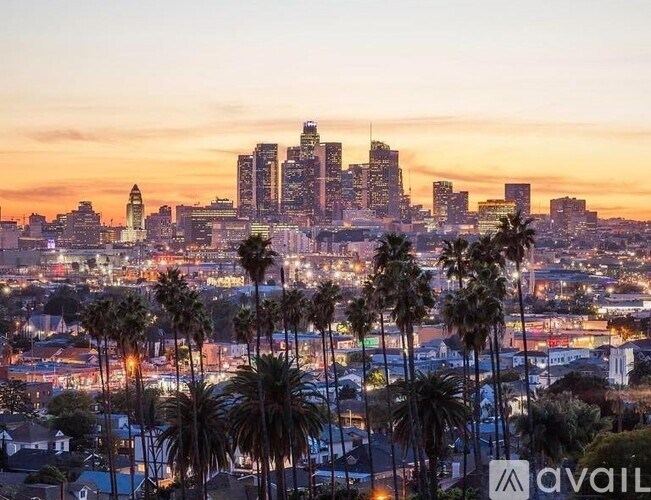 A city skyline at dusk with palm trees in the foreground.