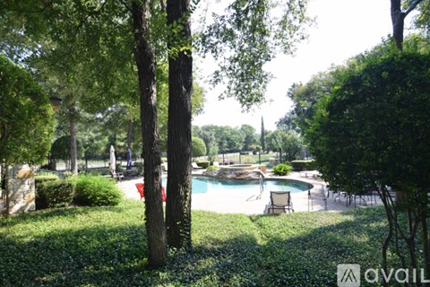 A pool surrounded by trees and bushes.