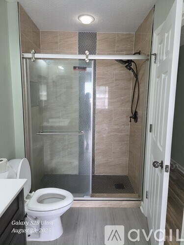 A bathroom with a toilet, a walk-in shower, and a door.