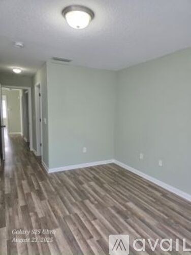 A room with wood flooring and a ceiling light.