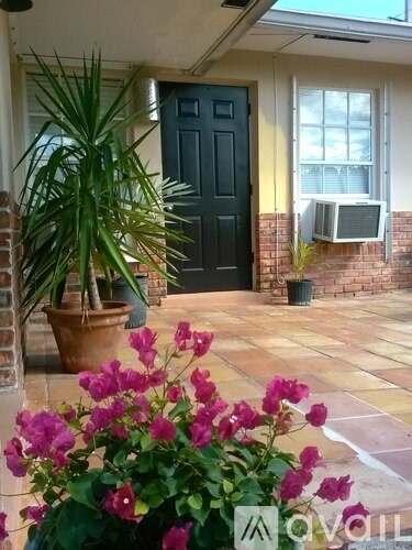 A black door is on the right side of a house.