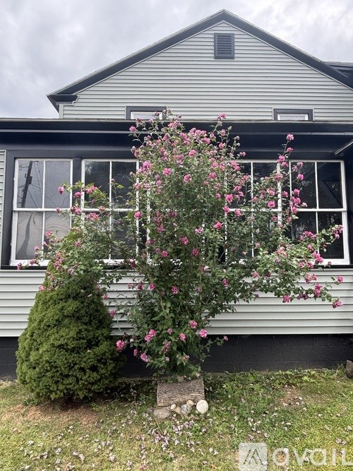 A house with a grey siding and a window with a pink flowering bush in front.