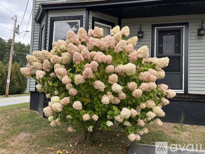 A bush of white flowers is in front of a grey house.