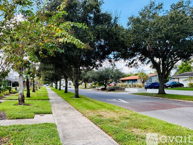 A tree-lined street with a sidewalk and a car parked on the side.