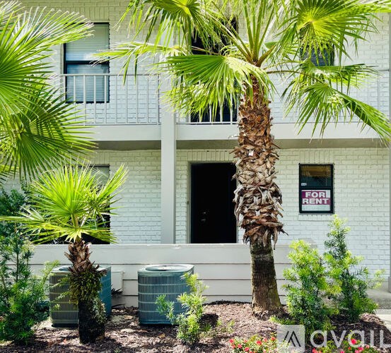 A palm tree stands in front of a white building with a FOR RENT sign.