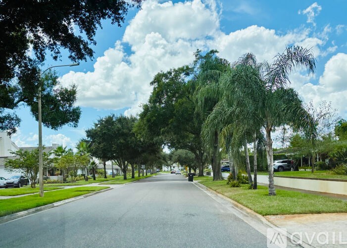 A tree-lined street with a clear blue sky above.