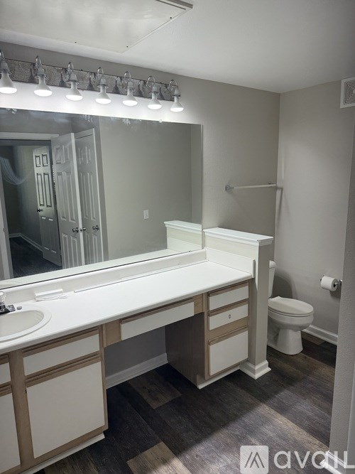 A bathroom with a vanity, toilet, and a mirror.