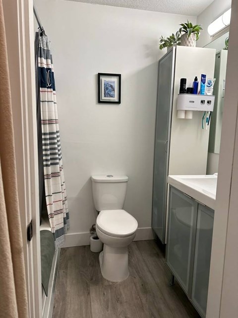 A small bathroom with a toilet, a sink, and a picture on the wall.