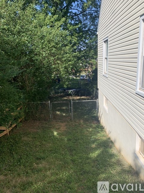 A backyard with a fence and trees.