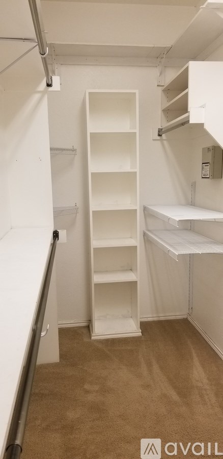 A white closet with shelves and a carpeted floor.