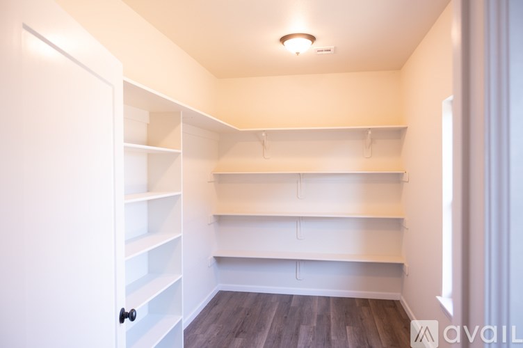 A white pantry with shelves and a door.