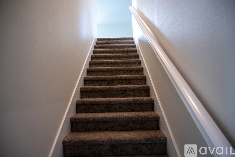A staircase with a carpeted runner and white handrails.