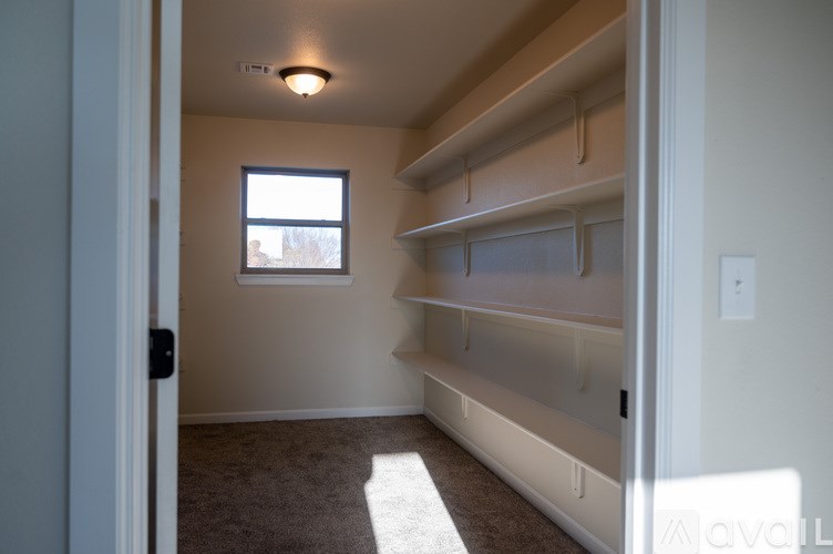 A room with a window and a carpeted floor.