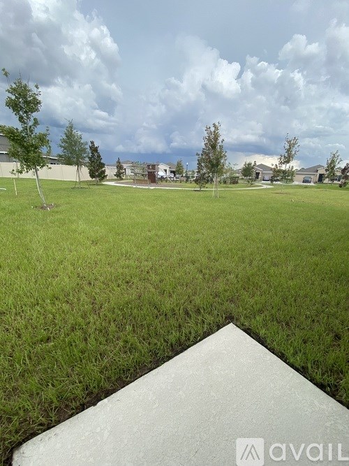 A grassy field with a few trees and a cloudy sky.