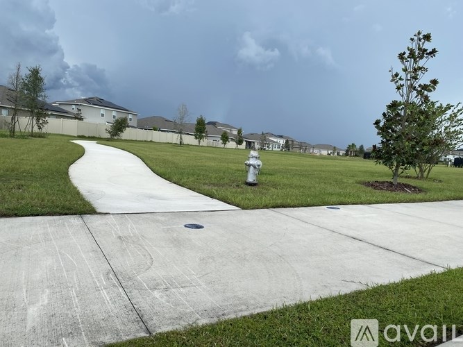 A white concrete pathway leads through a grassy area with a fire hydrant and a tree.