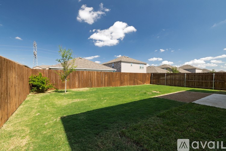 A backyard with a wooden fence and a small tree.