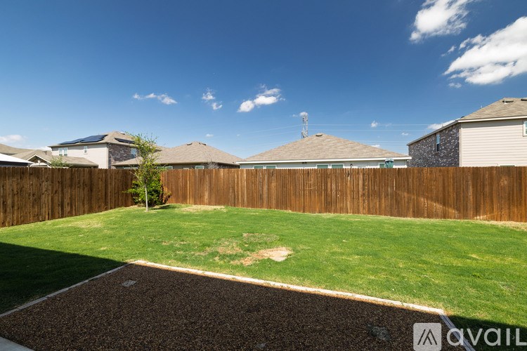 A backyard with a brown fence and a small tree.
