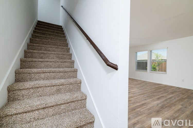 A staircase with a carpeted runner and wooden steps.