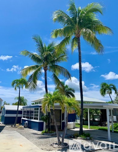 Three palm trees in front of a blue and white building.