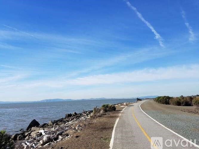 A road with a yellow line runs parallel to a body of water.