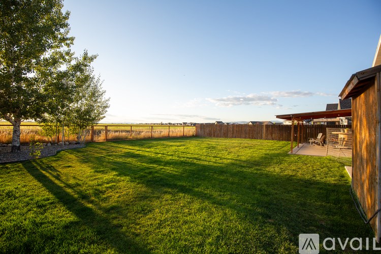 A backyard with a wooden fence and a tree.